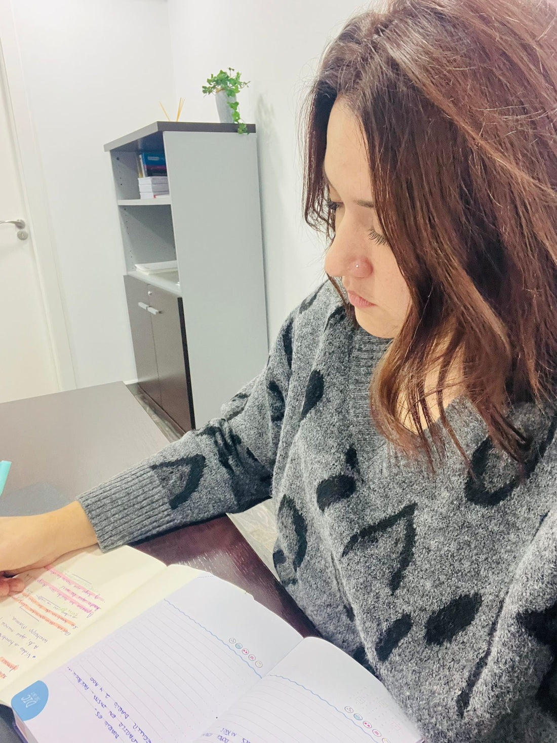 Nace el Diario de las Emociones